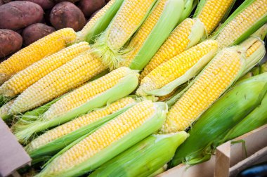 taze sebze ve otlar çarşı satılıyor