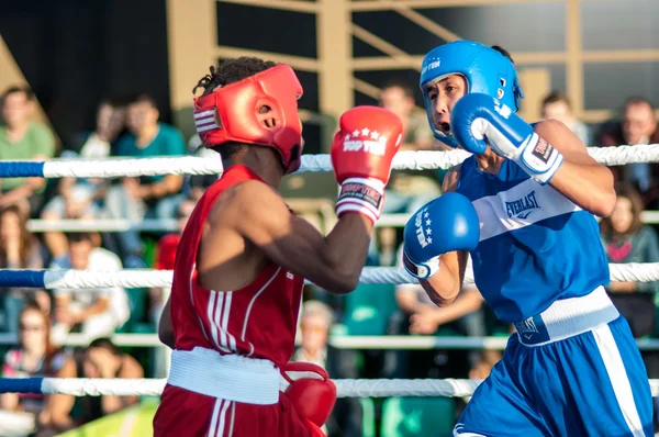 Boxerský zápas javier ibanez, Kuba a malik bajtleuov, Rusko. poražený javier ibanez — Stock fotografie