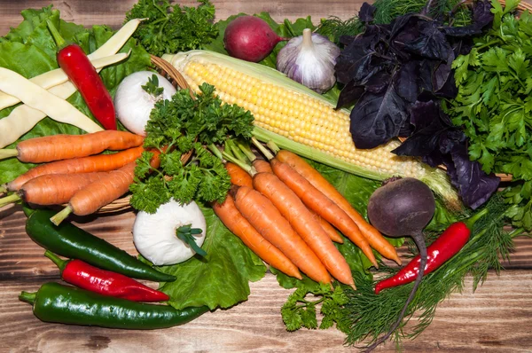 Carottes et verdure fraîche — Photo