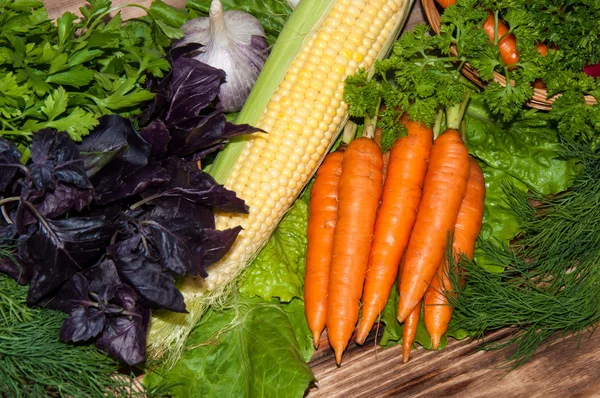 Carottes et verdure fraîche — Photo