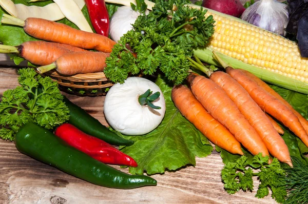 Carrots and fresh greenery — Stock Photo, Image