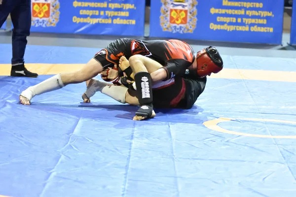 Orenburg Rosja Października 2019 Mężczyźni Rywalizują Zapasach Pankration Open Championship — Zdjęcie stockowe