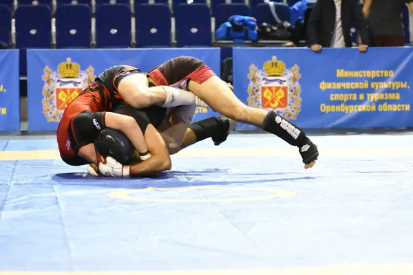 Orenburg Rússia Outubro 2019 Homens Competem Pankration Open Championship Campeonato — Fotografia de Stock