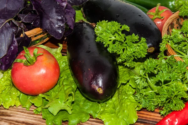 Eggplant and fresh herbs — Stock Photo, Image