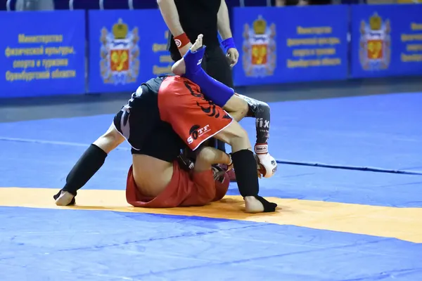 Orenburg Rússia Outubro 2019 Homens Competem Pankration Open Championship Campeonato — Fotografia de Stock