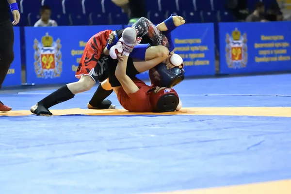 Orenburg Rusko Října 2019 Muži Utkají Pankration Wrestlingu Open Championship — Stock fotografie