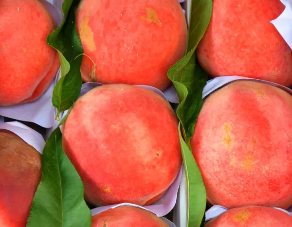 Базарі Продаються Лаврові Персики Нового Врожаю — стокове фото