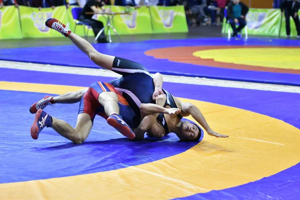 Orenburg Russia March 2017 Boy Compete Sports Wrestling Volga Federal — Stock Photo, Image