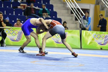 Orenburg, Rusya - 15-16 Mart 2017: Çocuk, Volga Federal Bölge Şampiyonası 'nda spor güreşi dalında mücadele ediyor 