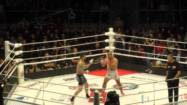 Orenburg Rusya Ağustos 2019 Erkekler Uluslararası Dövüş Sanatları Turnuvası Mma — Stok video