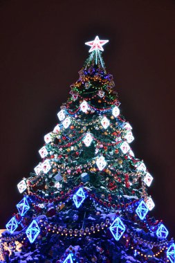 Yılbaşı arifesinde şehir parkında süslemeli Noel ağacı 