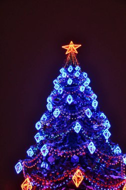 Yılbaşı arifesinde şehir parkında süslemeli Noel ağacı 