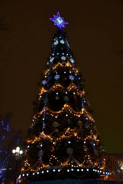 Christmas Tree Decorations City Park New Year Eve — Stock Photo, Image