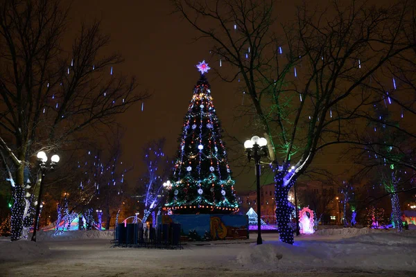 Kerstboom Met Versieringen Het Stadspark Oudejaarsavond — Stockfoto