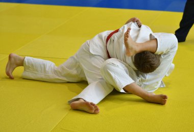 İki kimonolu judoka tatamide yarışıyor. 