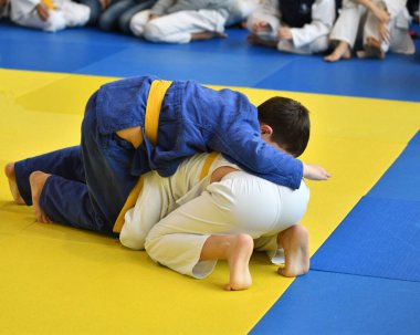 İki kimonolu judoka tatamide yarışıyor. 
