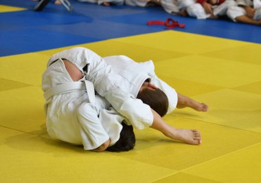İki kimonolu judoka tatamide yarışıyor. 