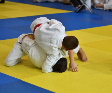 İki kimonolu judoka tatamide yarışıyor. 