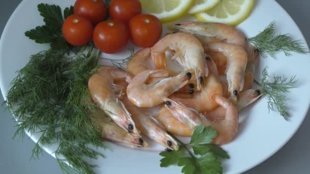 Prawns Dalam Bahasa Latin Caridea Resep Masakan Dengan Udang Populer — Stok Video