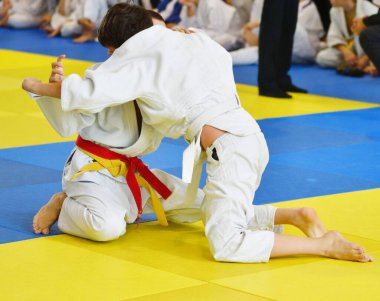 İki kimonolu judoka tatamide yarışıyor. 