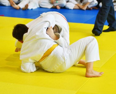 İki kimonolu judoka tatamide yarışıyor. 