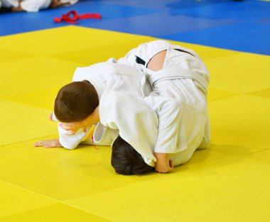 İki kimonolu judoka tatamide yarışıyor. 