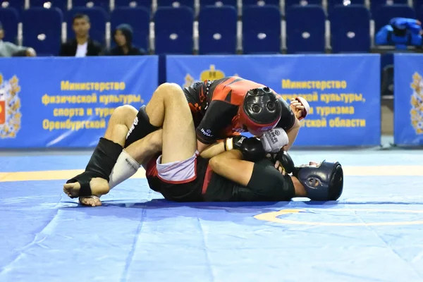 Orenburg Rússia Outubro 2019 Homens Competem Pankration Open Championship Campeonato — Fotografia de Stock