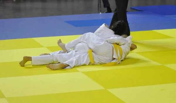 Kimonolu Iki Kız Judoka Tatamide Yarışıyor — Stok fotoğraf