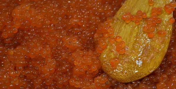 Caviar Vermelho Salmão Chinook Pacífico Selvagem Latim Oncorhynchus Tshawytscha Uma — Fotografia de Stock