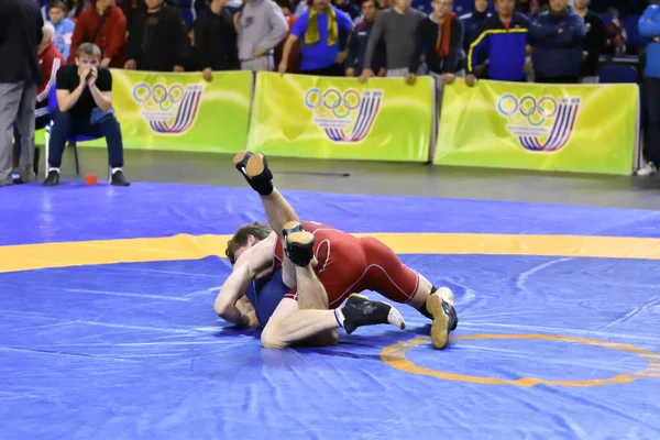 Orenburg Russia October 2017 Boys Compete Sports Wrestling All Russian — Stock Photo, Image