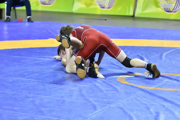 Orenburg Rússia Outubro 2017 Meninos Competem Wrestling Esportivo Torneio All — Fotografia de Stock