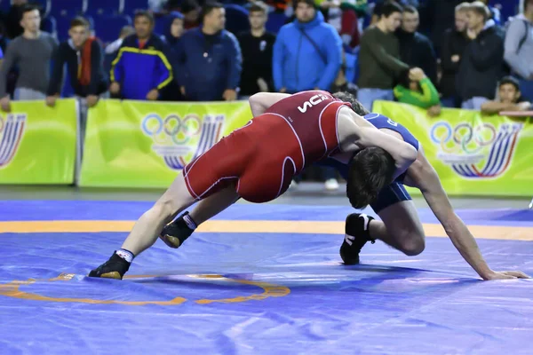 Orenburg Rússia Outubro 2017 Meninos Competem Wrestling Esportivo Torneio All — Fotografia de Stock