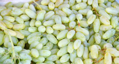 Yeni hasadın olgunlaşmış üzümleri pazarda satılıyor. 