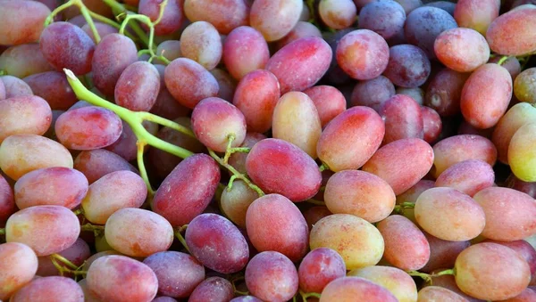 Uvas Maduras Nova Colheita São Vendidas Bazar — Fotografia de Stock