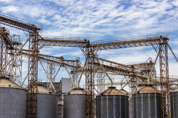 witte rijst met gerookte zalm