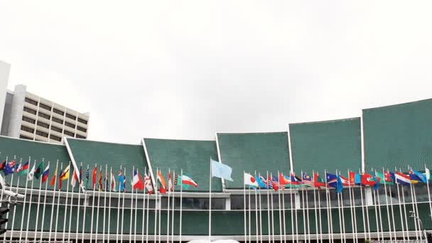 Drapeaux internationaux devant le bâtiment de l'ONU — Video