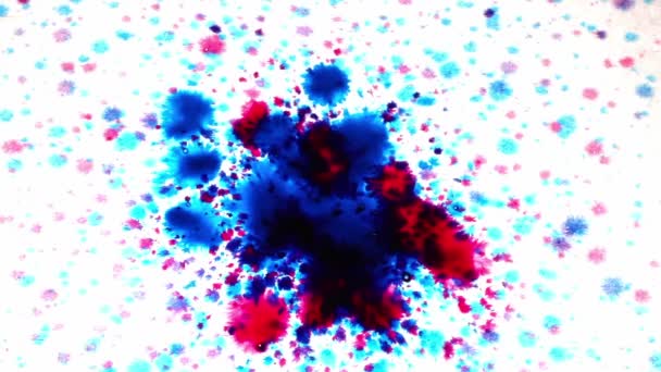 Ink Drops and splatters — Stock Video