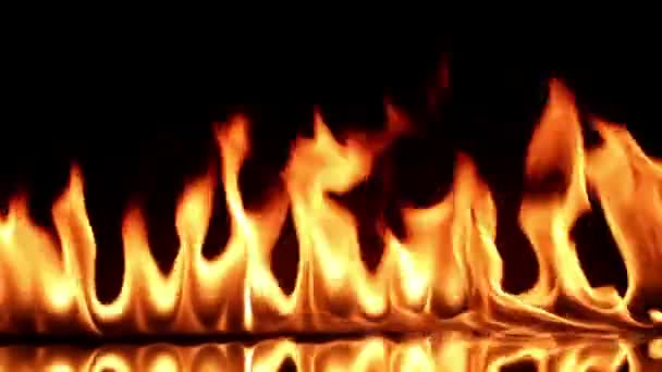 Fire flame isolated on black background — Stock Video