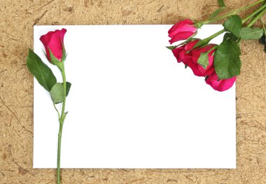 Gül ve boş kağıt