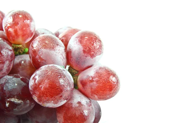 Red grapes on white background. — Stock Photo, Image