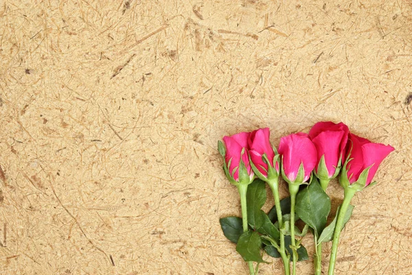 Rosa sobre fundo de madeira — Fotografia de Stock