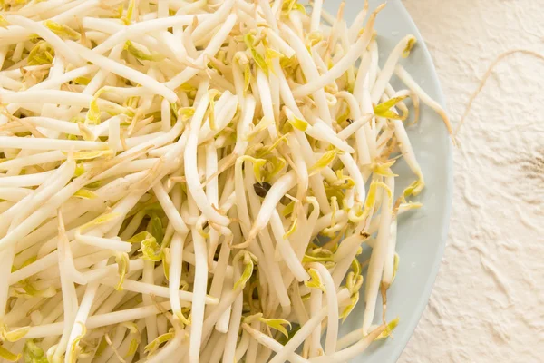 Bean sprouts on plate — Stock Photo, Image