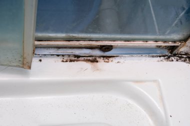 Küf mantarı ve pas, küf eklemlerinde, nemli, kötü havalandırılmış banyoda, yüksek nem, nem, nem ve rutubet sorunu olan banyo ve duş alanlarında büyüyor..