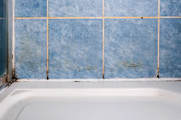 Hongo del molde y óxido que crece en las juntas de azulejos en el baño húmedo mal ventilado con alta humedad, wtness, humedad y problemas de humedad en las áreas de baño y ducha —  Fotos de Stock