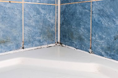 Küf mantarı ve pas, küf eklemlerinde, nemli, kötü havalandırılmış banyoda, yüksek nem, nem, nem ve rutubet sorunu olan banyo ve duş alanlarında büyüyor..