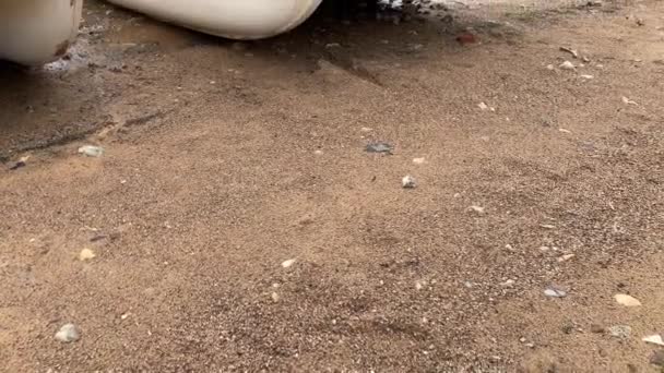 Alter roter Katamaran, der im Herbst am Ufer festgemacht hat, das Ende einer Segelsaison, mieses Wetter — Stockvideo