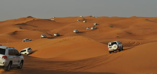 砂漠のサファリ — ストック写真