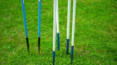 Kyiv, Ukrayna, 19 Temmuz 2021: yeşil çimlerde beyaz mızraklar. Mızrak atma yarışmasında yaşlı bir adam. Aktif kıdemli adam sağlığını korumak için spor yapıyor.. 