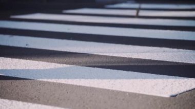 Yeni yol işaretleri. Bir grup insan yaya geçidinden karşıya geçiyor.. 
