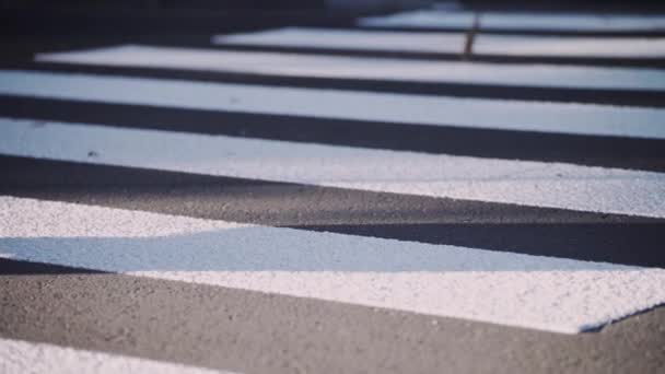 Nuevas Marcas Tráfico Grupo Personas Está Cruzando Calle Cruce Peatonal — Vídeo de stock